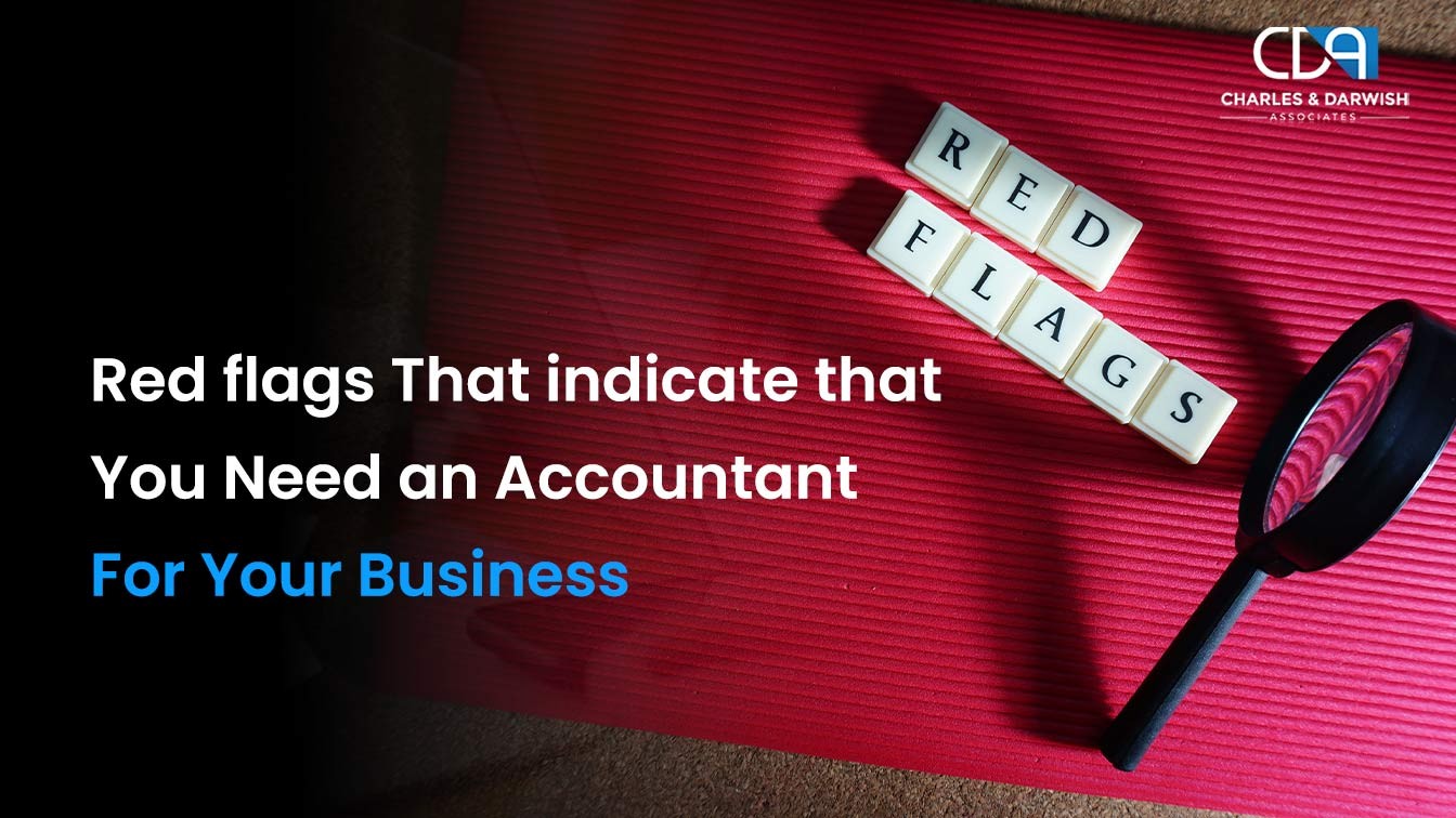 Red flags That indicate that You Need an Accountant for Your Business